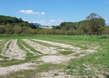 Foto 14 - Rustico LOC. SAN FORTUNATO, Genga - foto 14