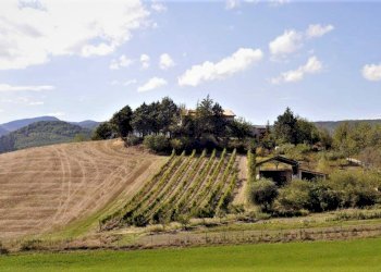 Foto 8 - Villa Frazione San Donato, Fabriano - foto 8