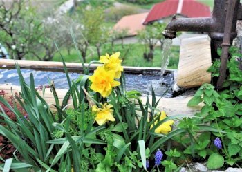 Foto 10 - Villa Frazione San Donato, Fabriano - foto 10