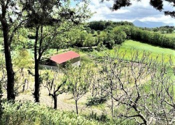 Foto 27 - Villa Frazione San Donato, Fabriano - foto 27