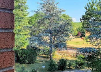 Foto 7 - Villa Via Vepre, Cerreto d'Esi - foto 7