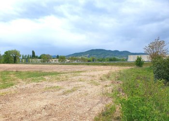 Foto 6 - Terreno edificabile VIA ARTIGIANALE, Fossato di Vico - foto 6