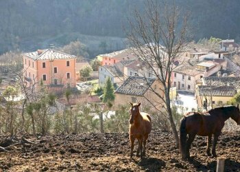 Foto 22 - Agriturismo Frazione Valdolmo, Sassoferrato - foto 22