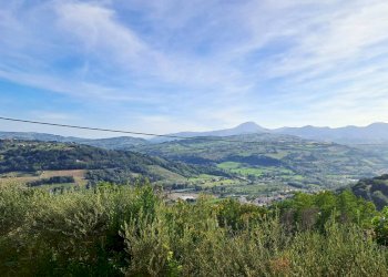 Foto 16 - Casa indipendente CONTRADA SAN GIOVANNI, Rosora - foto 16