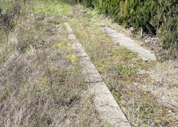 Foto 16 - Appartamento VIA NENNI, Fabriano - foto 16