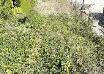 Foto 17 - Appartamento VIA NENNI, Fabriano - foto 17