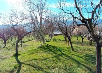 Foto 10 - Independent house NEBBIANO, Fabriano - photo 10