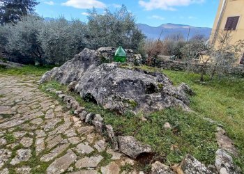 Foto 31 - Villa via ripole, Amaseno - photo 31