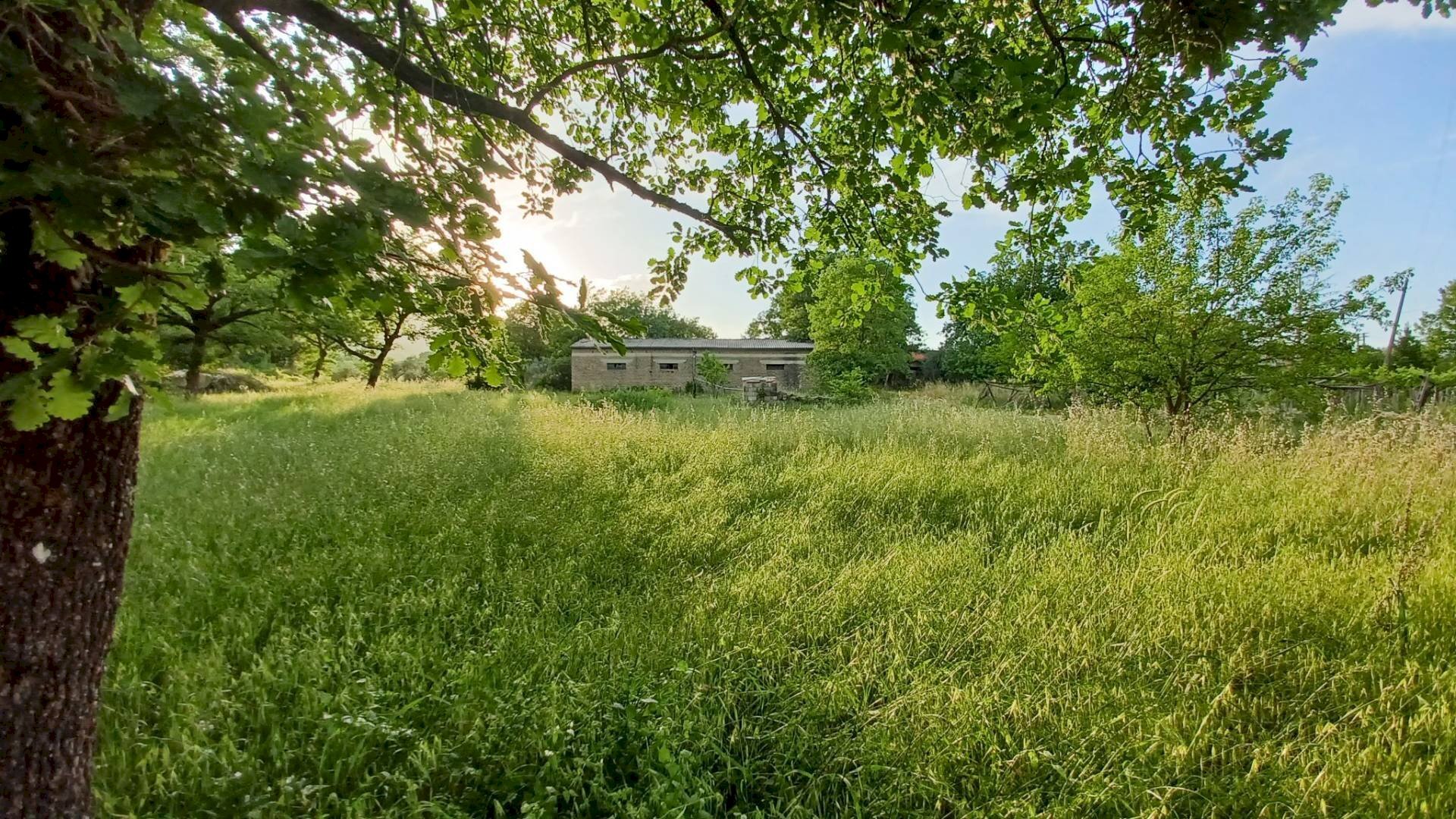 Foto 3 - Independent house via celma, Amaseno - photo 3