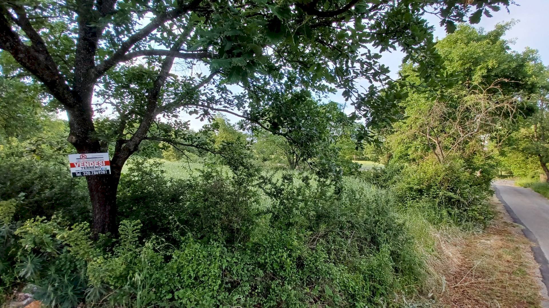 Foto 2 - Terreno agricolo via celma, Amaseno - foto 2