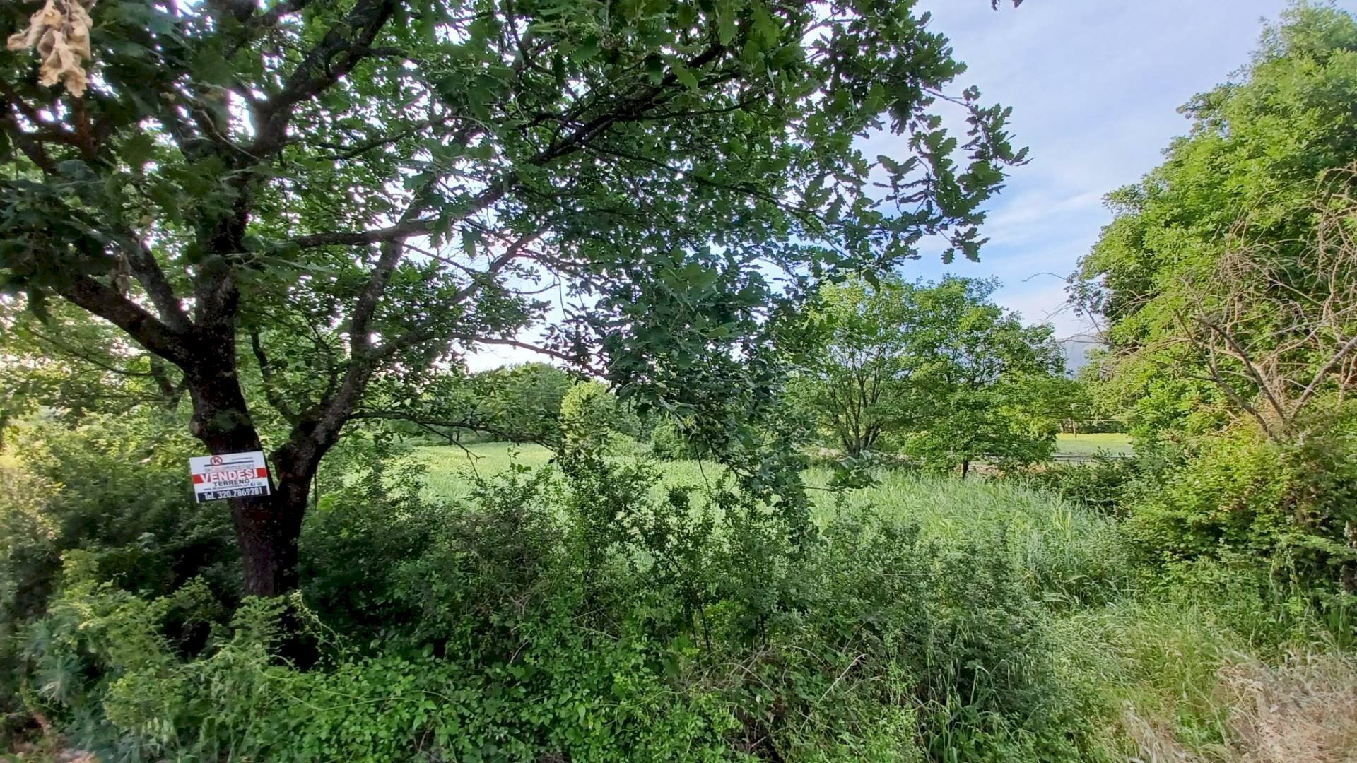 Foto 3 - Terreno agricolo via celma, Amaseno - foto 3