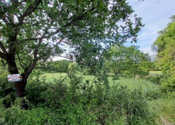 Foto 3 - Terreno agricolo via celma, Amaseno - foto 3