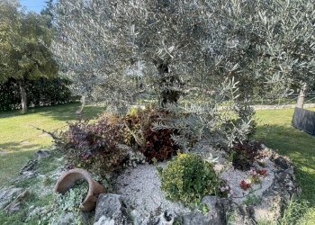 Foto 37 - Locale Commerciale via meringo alto, Ripi - foto 37