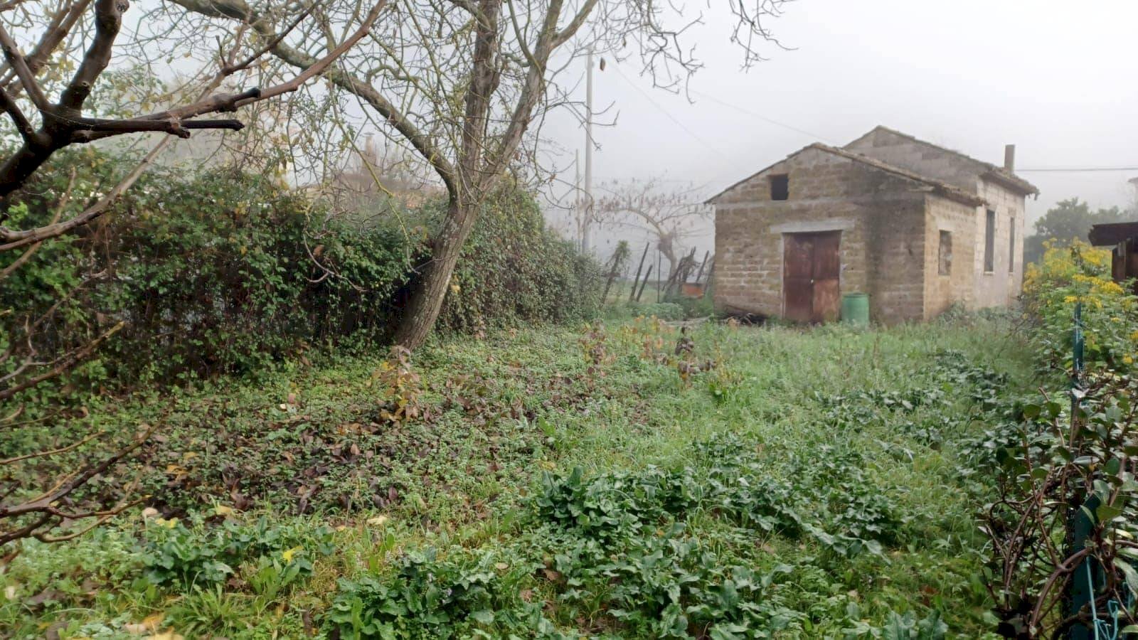 Foto 1 - Casa indipendente via sottuario, Giuliano di Roma - foto 1