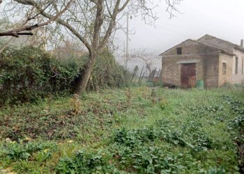 Foto 1 - Casa indipendente via sottuario, Giuliano di Roma - foto 1