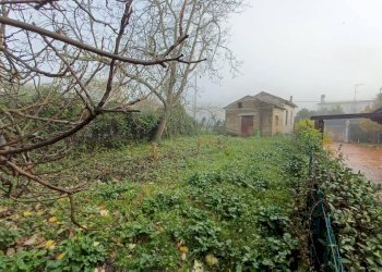 Foto 2 - Casa indipendente via sottuario, Giuliano di Roma - foto 2