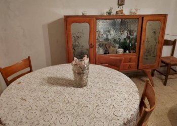 Foto 2 - Trilocale via indipendenza
 
1, Giuliano di Roma - foto 2