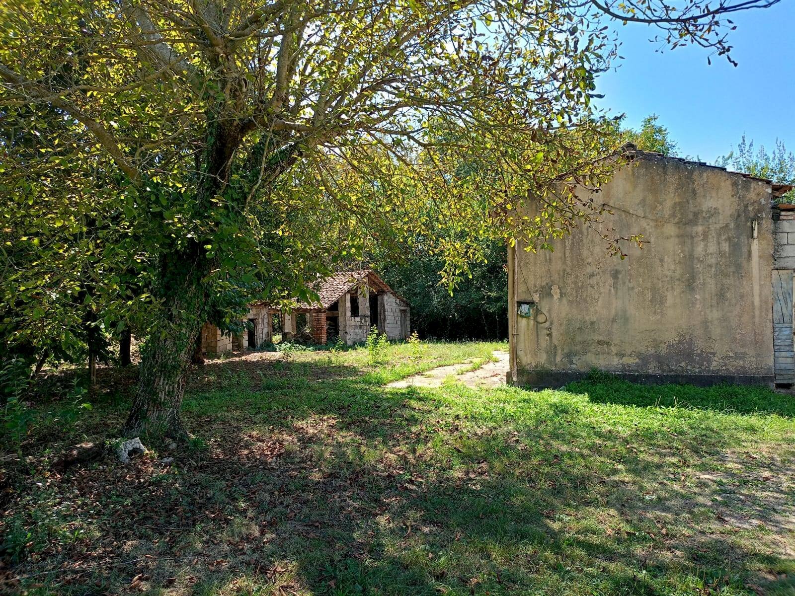 Foto 2 - Casa indipendente Via Passo Del Cardinale, Ceccano - foto 2