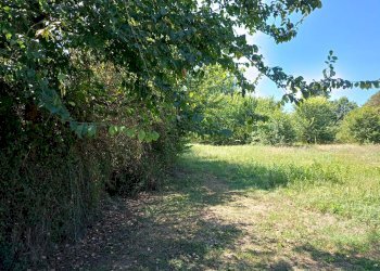 Foto 7 - Casa indipendente Via Passo Del Cardinale, Ceccano - foto 7