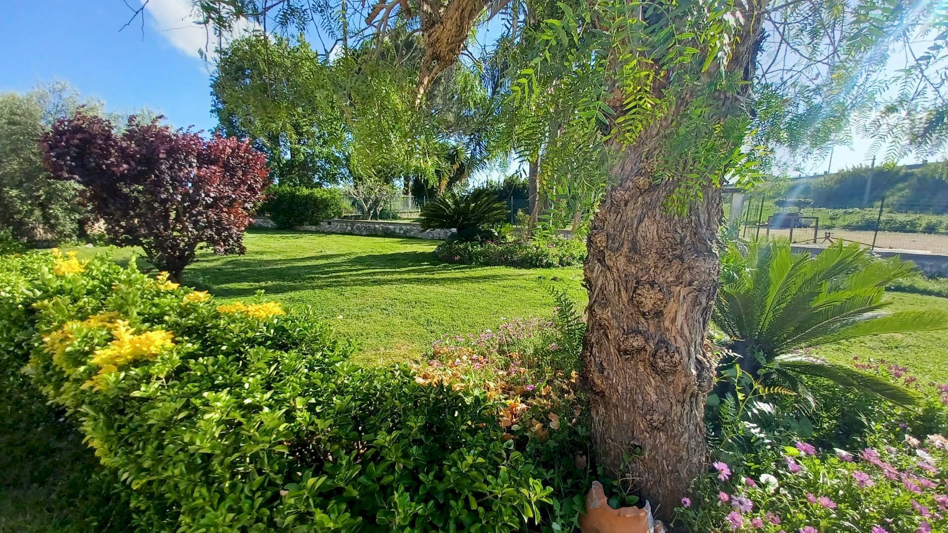 Foto 3 - Casa semi indipendente via appia, Terracina - foto 3