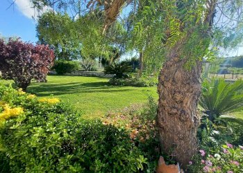 Foto 3 - Casa semi indipendente via appia, Terracina - foto 3