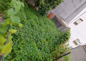 Foto 17 - Appartamento Via Dante Alighieri, Maenza - foto 17