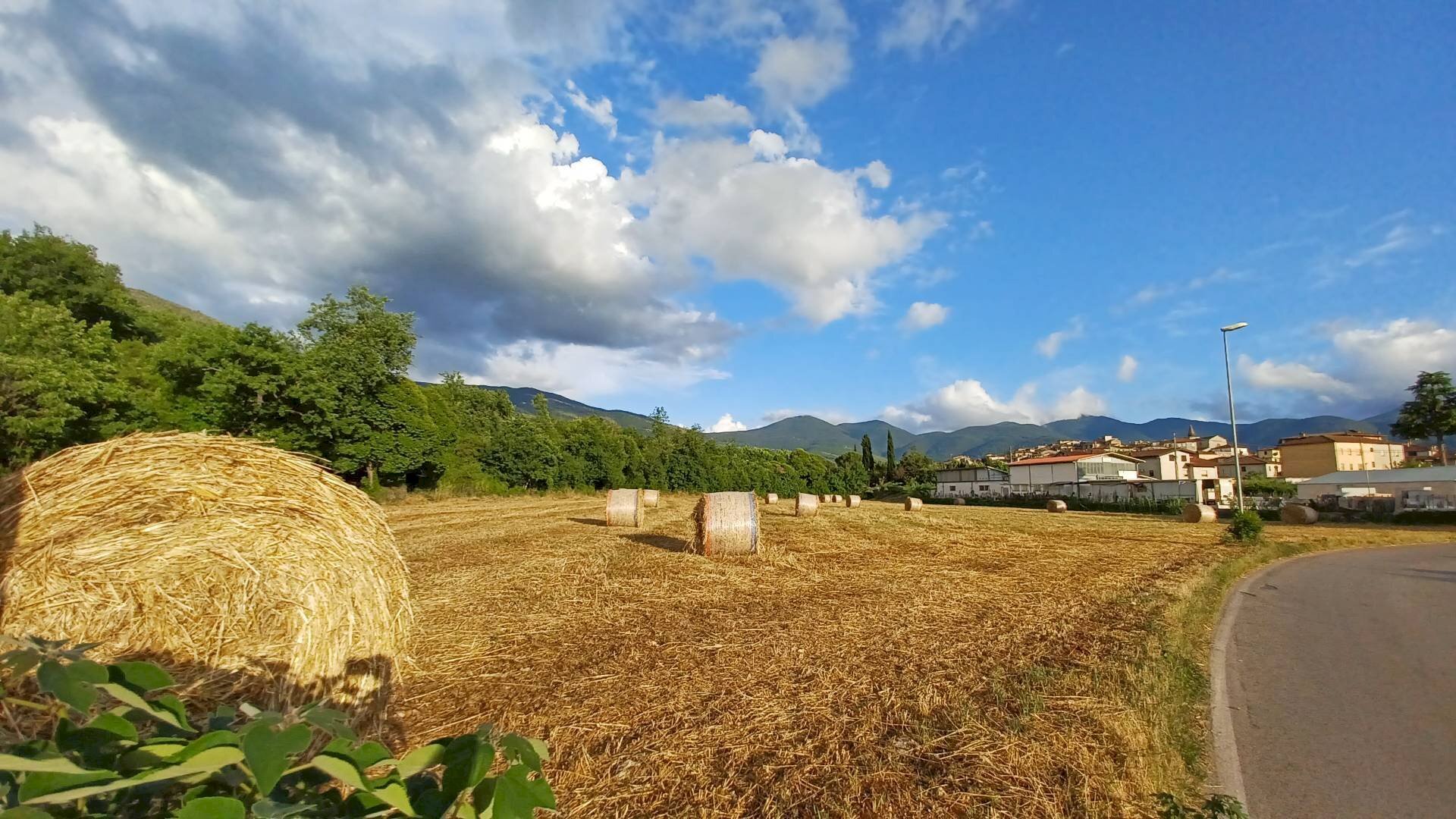 Foto 2 - Terreno agricolo località Pantano, Amaseno - foto 2