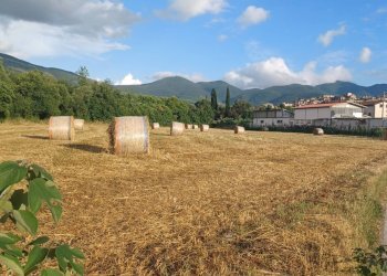 Foto 1 - Terreno agricolo località Pantano, Amaseno - foto 1