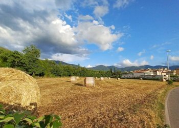 Foto 2 - Terreno agricolo località Pantano, Amaseno - foto 2