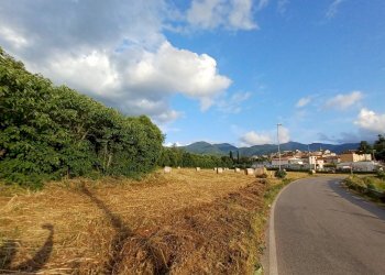 Foto 5 - Terreno agricolo località Pantano, Amaseno - foto 5