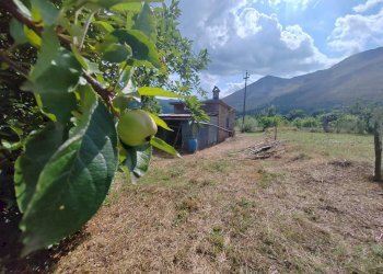 Foto 4 - Casa indipendente Via San Francesco, Vallecorsa - foto 4