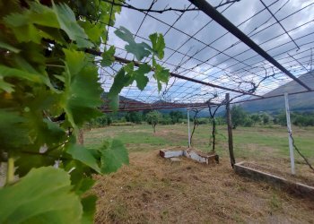 Foto 9 - Casa indipendente Via San Francesco, Vallecorsa - foto 9