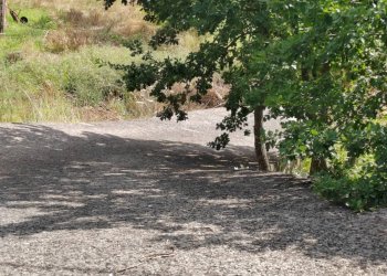 Foto 15 - Casa indipendente Via San Francesco, Vallecorsa - foto 15