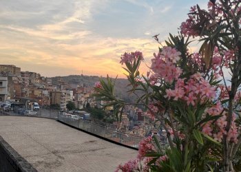 Foto 3 - Locale Commerciale Via Arringo, Sonnino - foto 3