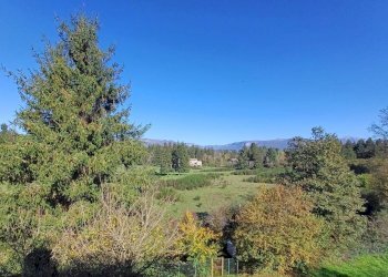 Foto 16 - Three-room apartment via fedele calvosa
 
15, Piglio - photo 16