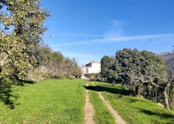 Foto 3 - Casa indipendente Contrada Vignali, Vallecorsa - foto 3