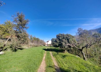 Foto 5 - Casa indipendente Contrada Vignali, Vallecorsa - foto 5