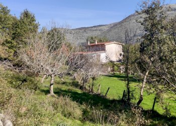 Foto 6 - Casa indipendente Contrada Vignali, Vallecorsa - foto 6