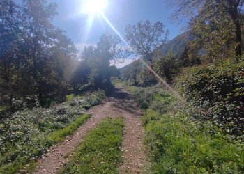 Foto 8 - Casa indipendente Contrada Vignali, Vallecorsa - foto 8