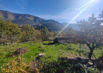 Foto 9 - Casa indipendente Contrada Vignali, Vallecorsa - foto 9