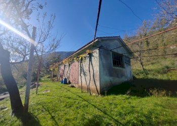 Foto 14 - Casa indipendente Contrada Vignali, Vallecorsa - foto 14