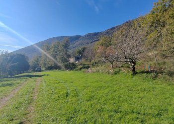 Foto 15 - Casa indipendente Contrada Vignali, Vallecorsa - foto 15