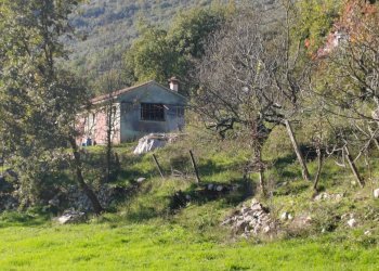 Foto 16 - Casa indipendente Contrada Vignali, Vallecorsa - foto 16