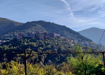 Foto 18 - Casa indipendente Contrada Vignali, Vallecorsa - foto 18