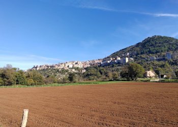Foto 21 - Casa indipendente Contrada Vignali, Vallecorsa - foto 21
