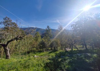 Foto 22 - Casa indipendente Contrada Vignali, Vallecorsa - foto 22