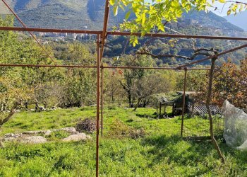 Foto 25 - Casa indipendente Contrada Vignali, Vallecorsa - foto 25