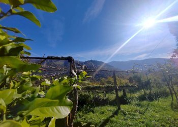 Foto 29 - Casa indipendente Contrada Vignali, Vallecorsa - foto 29