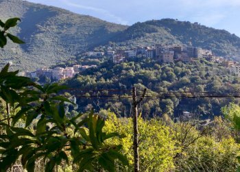 Foto 33 - Casa indipendente Contrada Vignali, Vallecorsa - foto 33