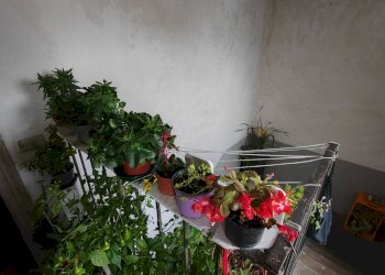 Foto 16 - Appartamento Via Roma
 
370, Vallecorsa - foto 16